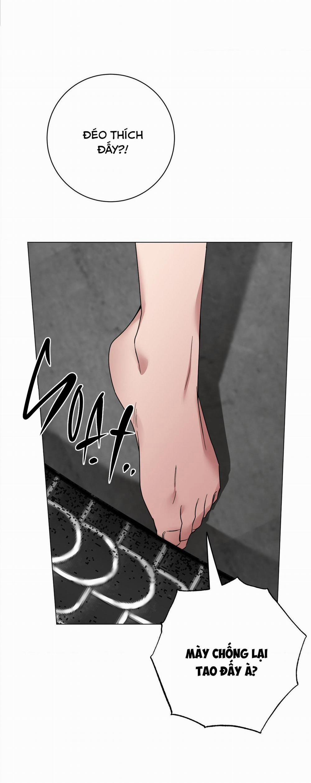 LIST SECRET CLUB 4.2 trang 41