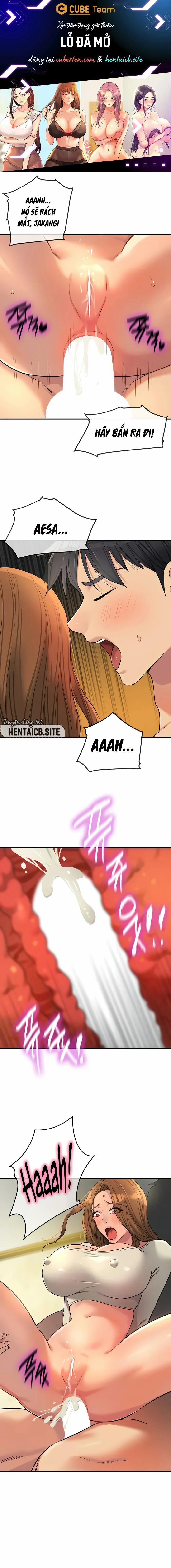 Lỗ đã mở 123 trang 1