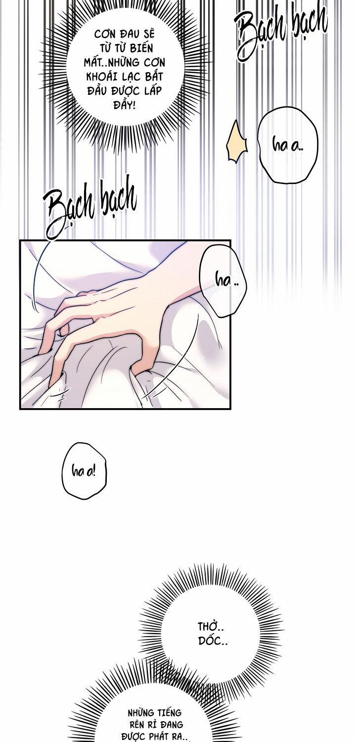 Lọ Lem Phiên Bản BL 11 trang 21