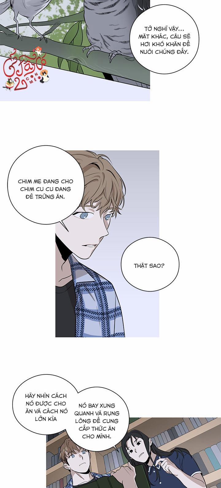 Loài Chim Không Bay 2 trang 3
