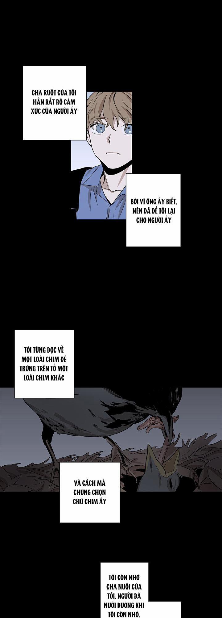 Loài Chim Không Bay 5 trang 18