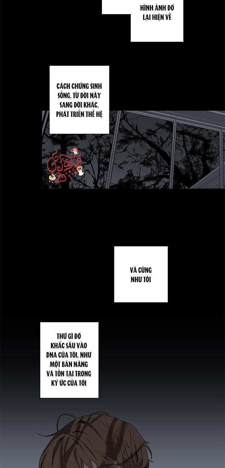 Loài Chim Không Bay 5 trang 19