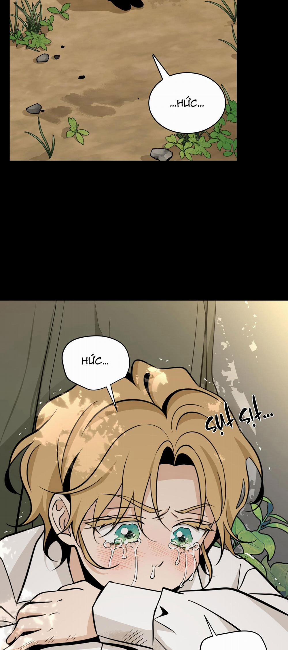 LOÀI HOA KHÔNG TÊN 1 BỊ GÀI trang 37