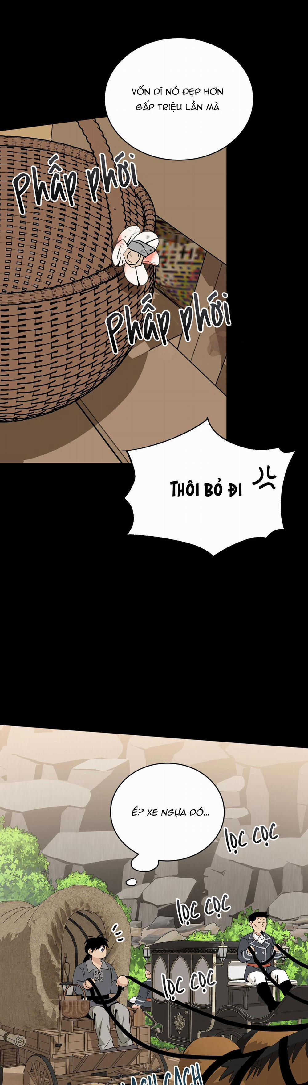 LOÀI HOA KHÔNG TÊN 15 trang 47