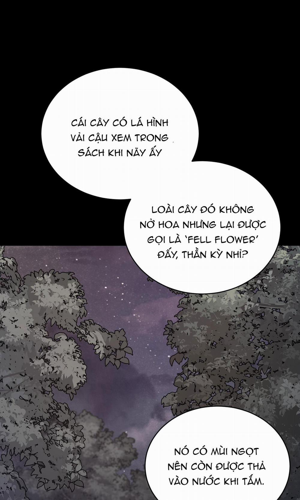 LOÀI HOA KHÔNG TÊN 4 trang 13