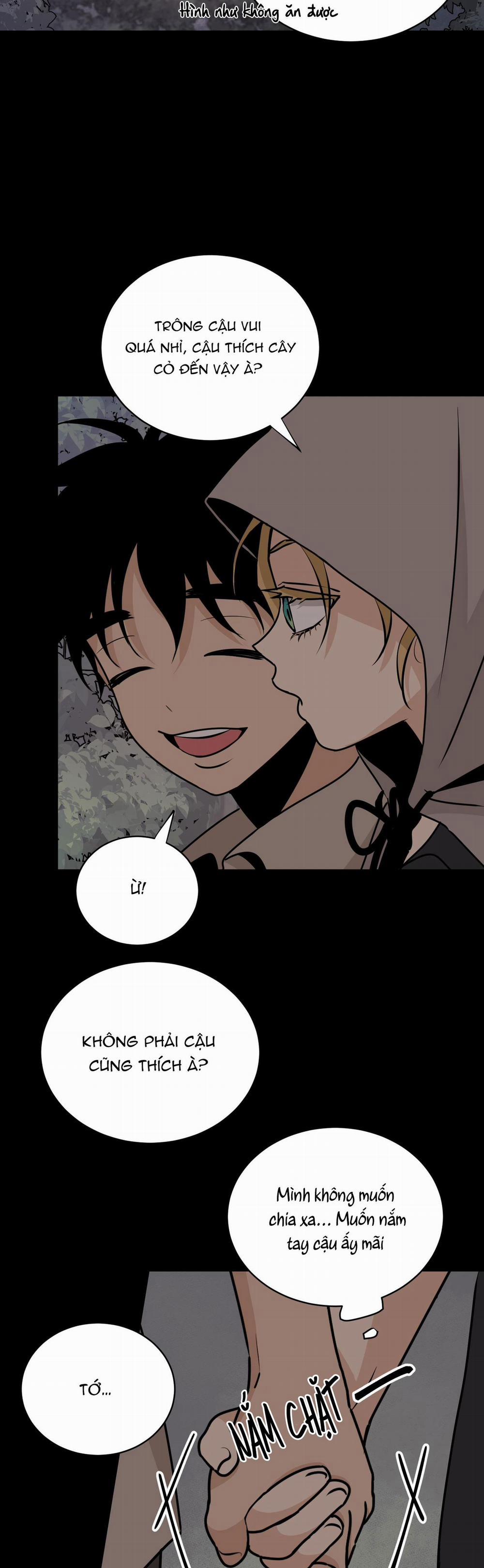 LOÀI HOA KHÔNG TÊN 4 trang 14