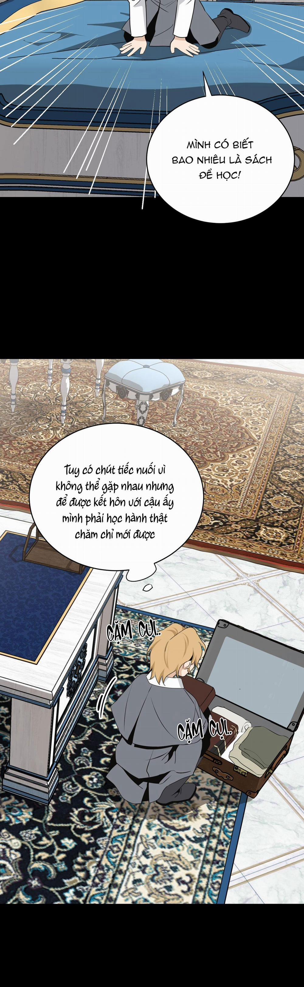 LOÀI HOA KHÔNG TÊN 7 trang 14