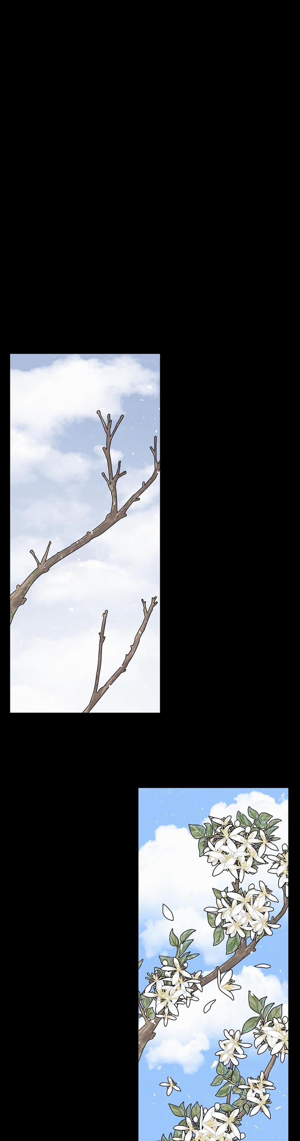 LOÀI HOA KHÔNG TÊN 8 trang 51