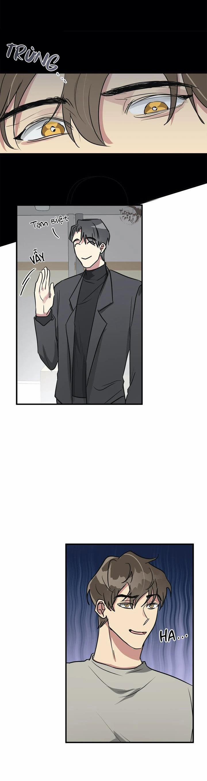 Lỗi Bộ Nhớ 12 trang 4