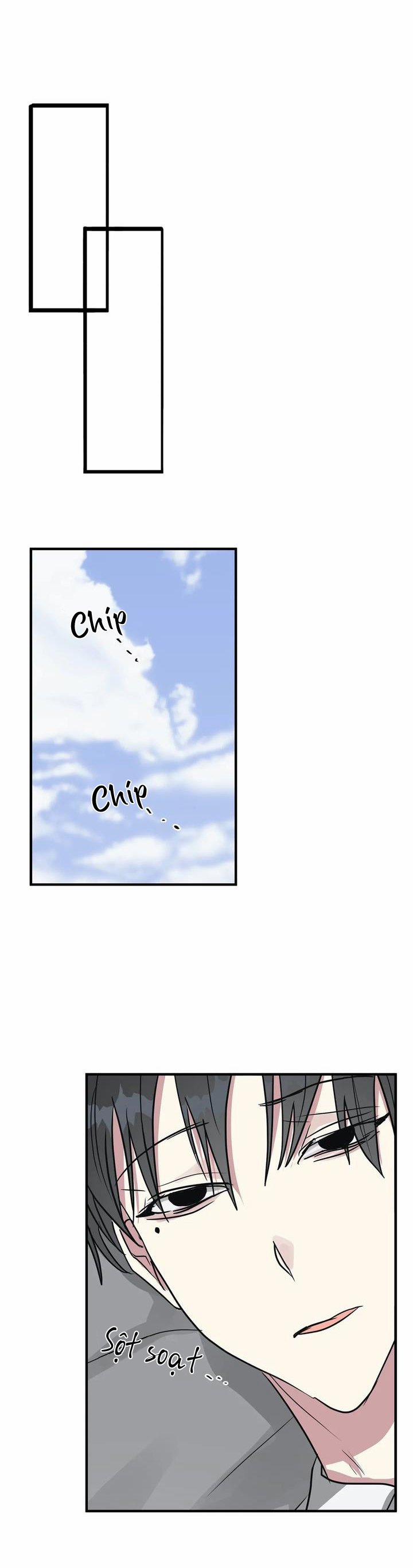 Lỗi Bộ Nhớ 12 trang 6