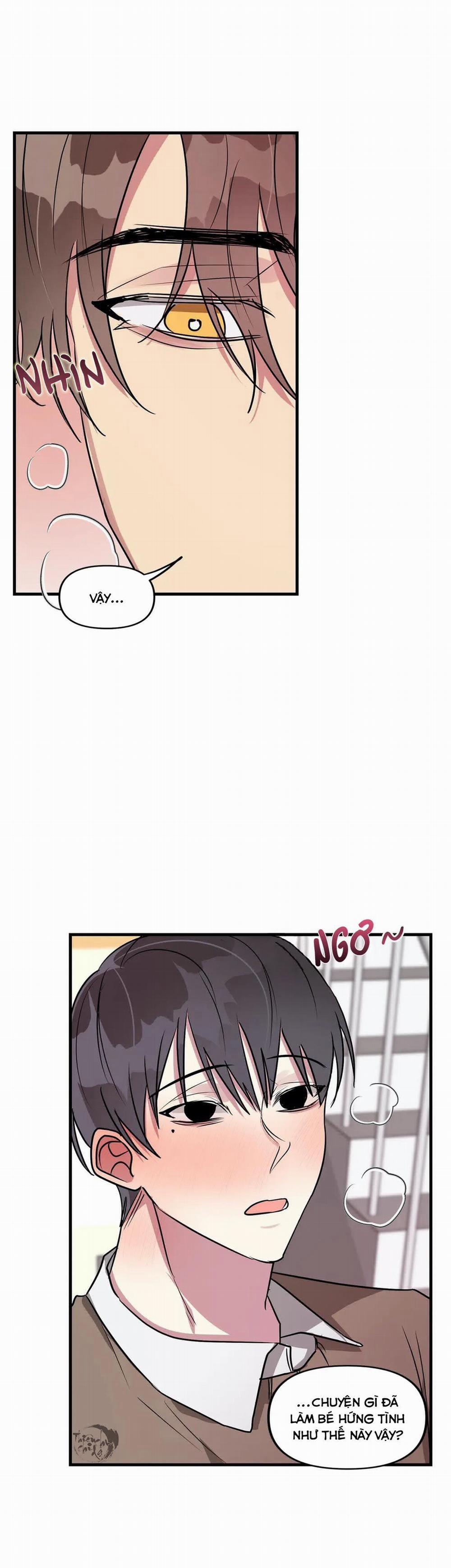 Lỗi Bộ Nhớ 21 trang 6