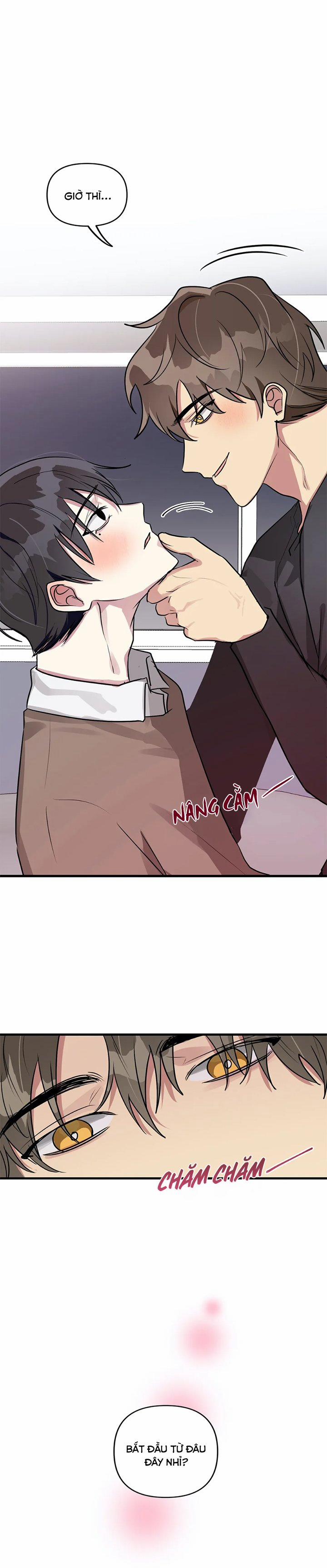 Lỗi Bộ Nhớ 22 trang 8