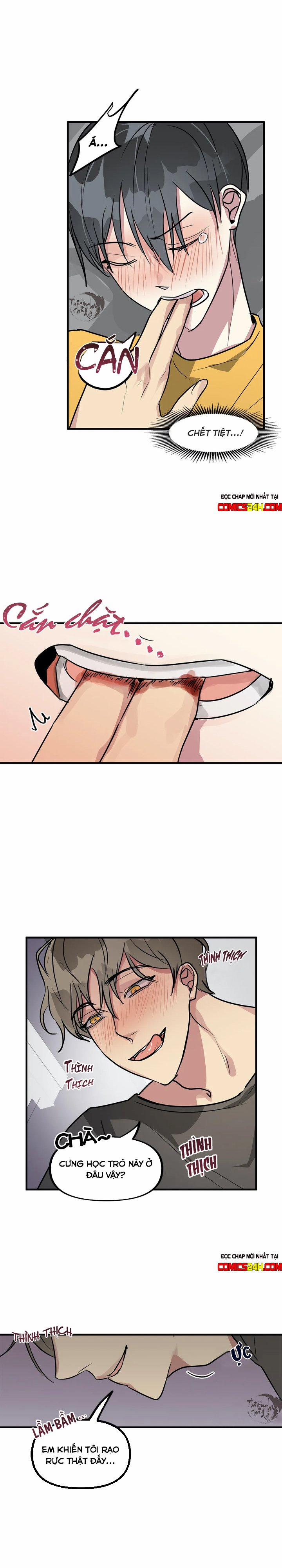 Lỗi Bộ Nhớ 6 trang 15