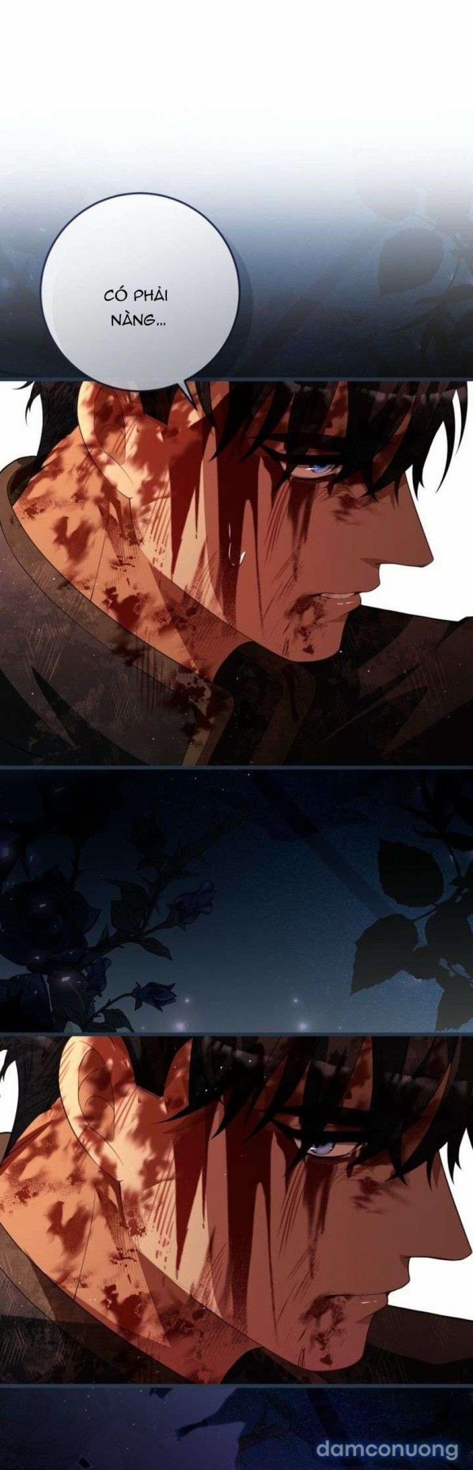 Lời Cầu Hôn Mông Muội 32 trang 10