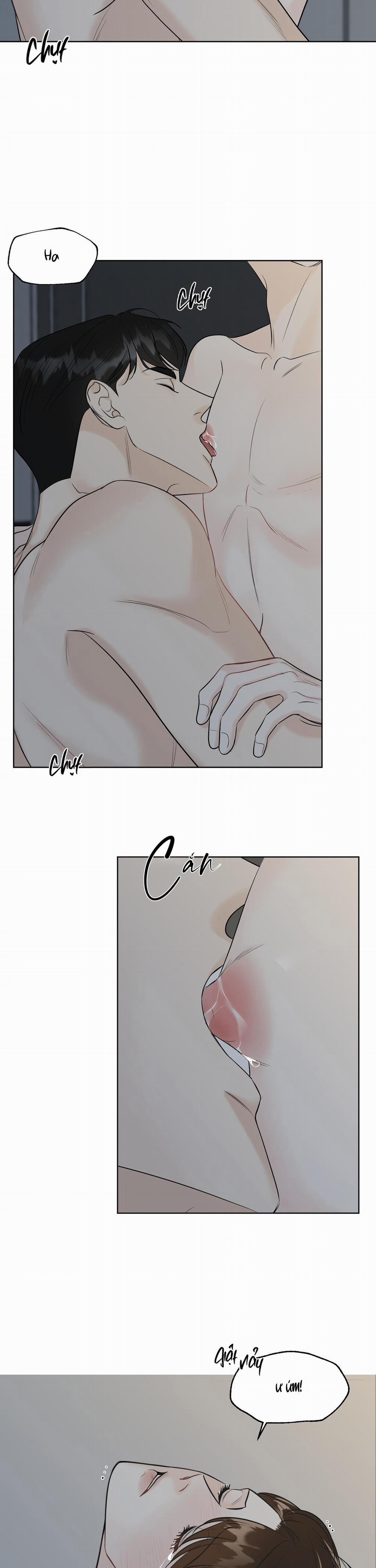 Lời Chối Từ Vấn Vương 6 0 trang 4