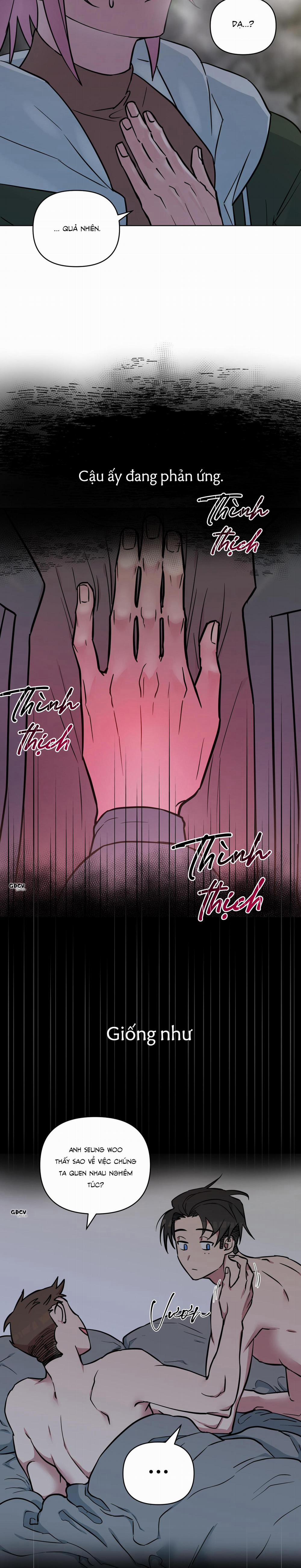 Lời Nguyền Đêm Giáng Sinh 8 trang 11