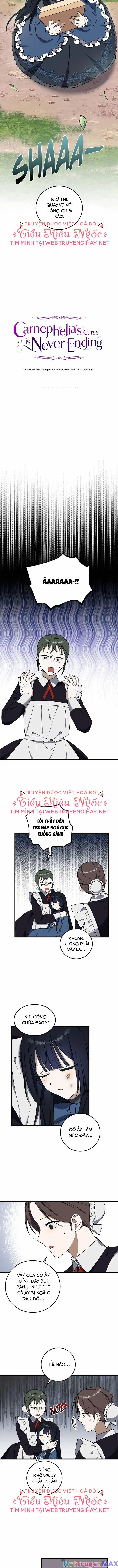 Lời Nguyền Vẫn Chưa Chấm Dứt 11 trang 5