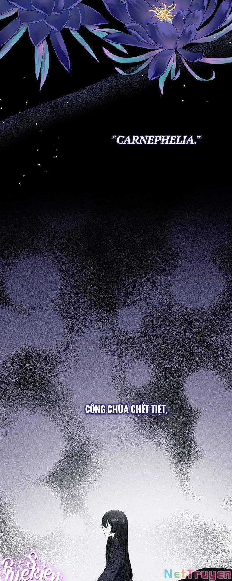 Lời Nguyền Vẫn Chưa Chấm Dứt 2 trang 10