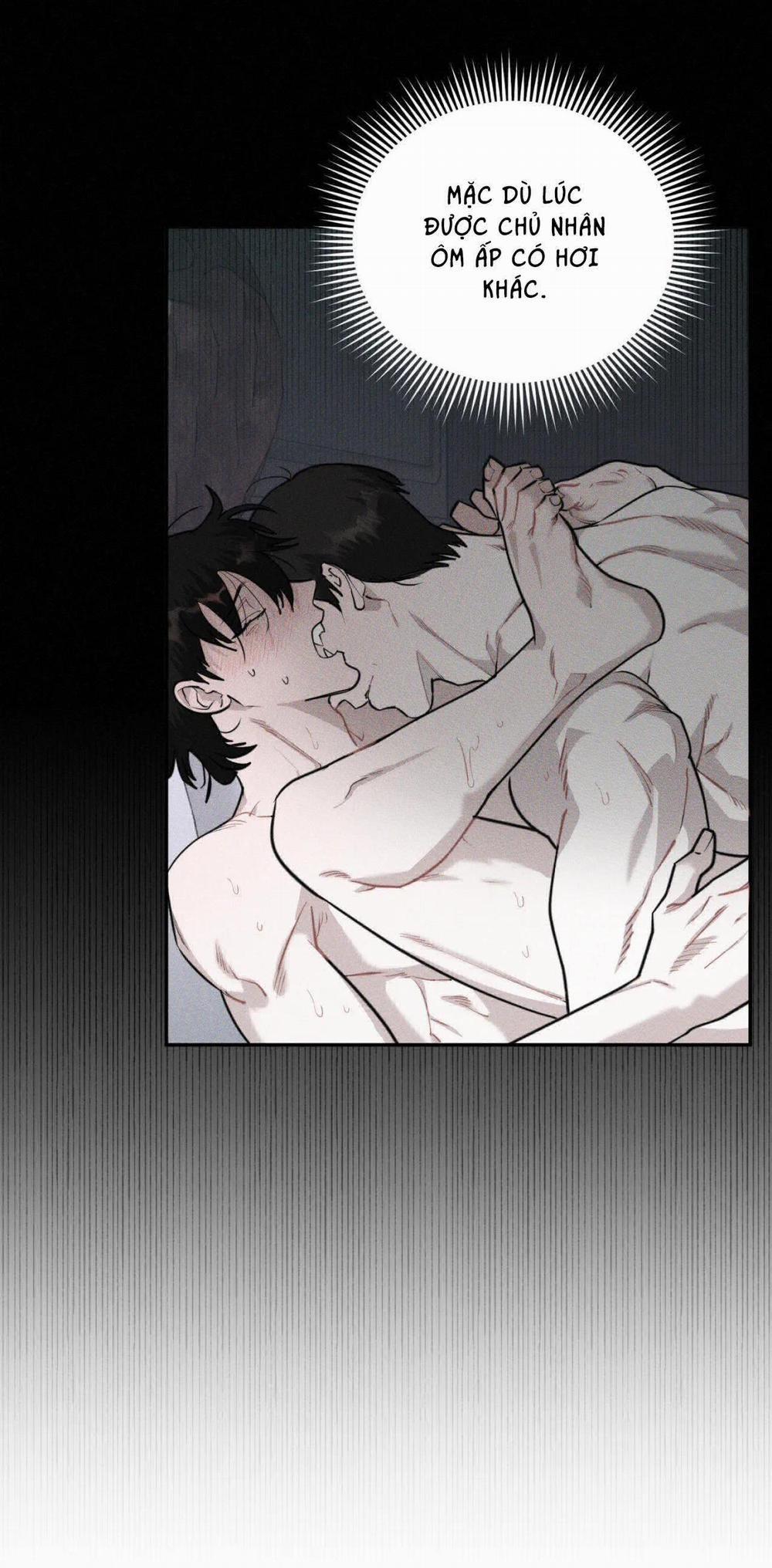 Lời Nói Dối Đẫm Máu 19 trang 24