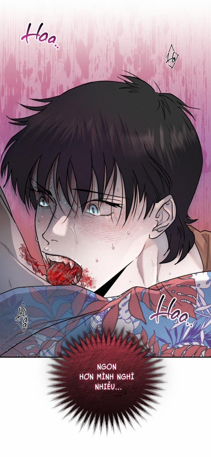 Lời Nói Dối Đẫm Máu 24 trang 28