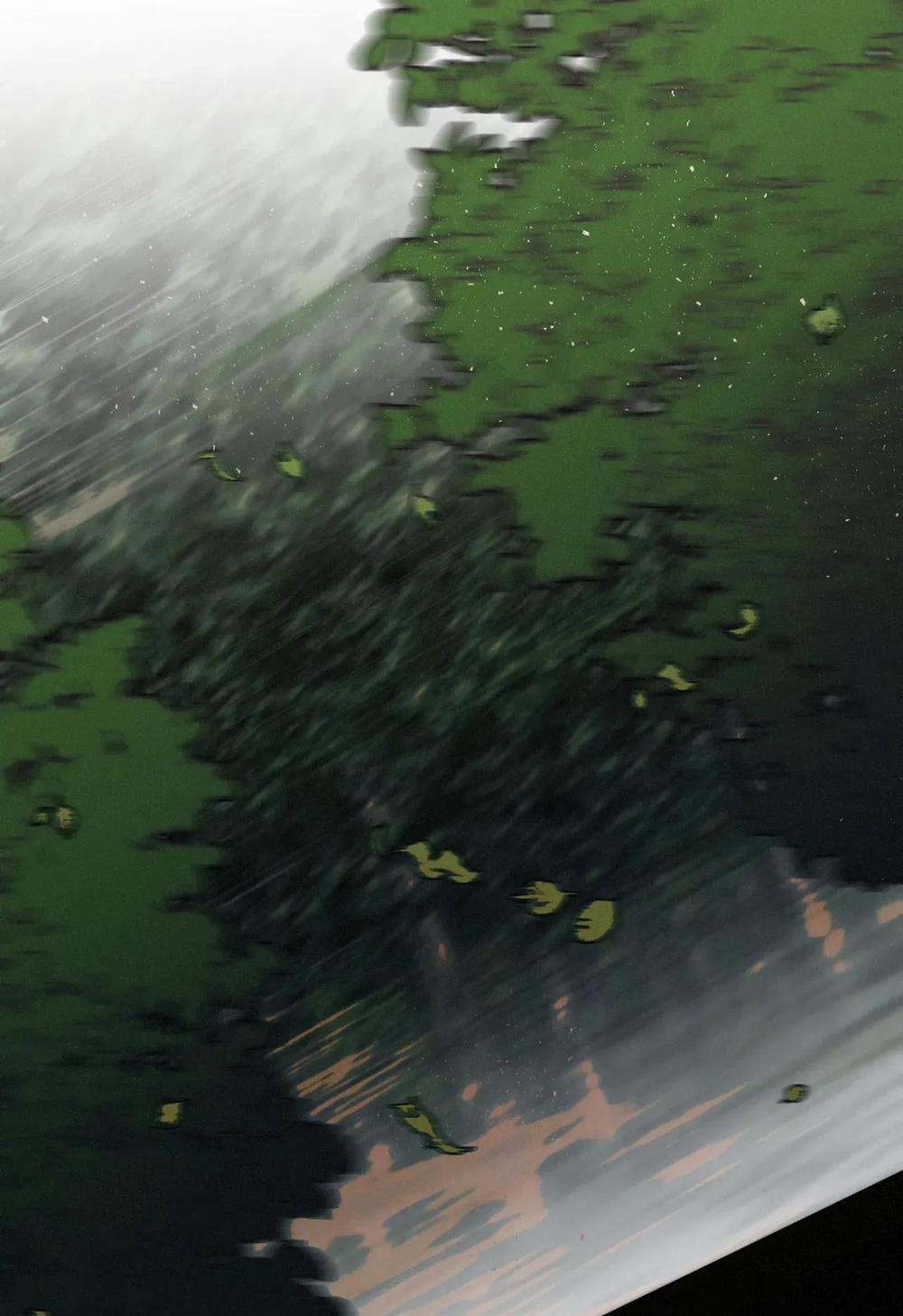 Lời Nói Dối Đẫm Máu 31 trang 1