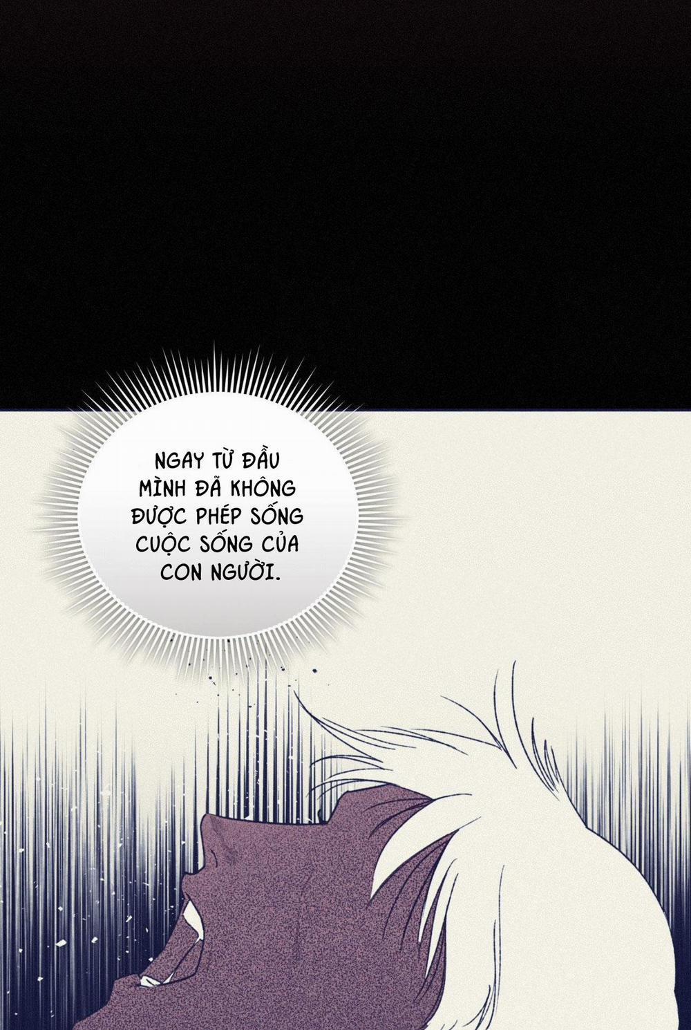 Lời Nói Dối Đẫm Máu 40 trang 23