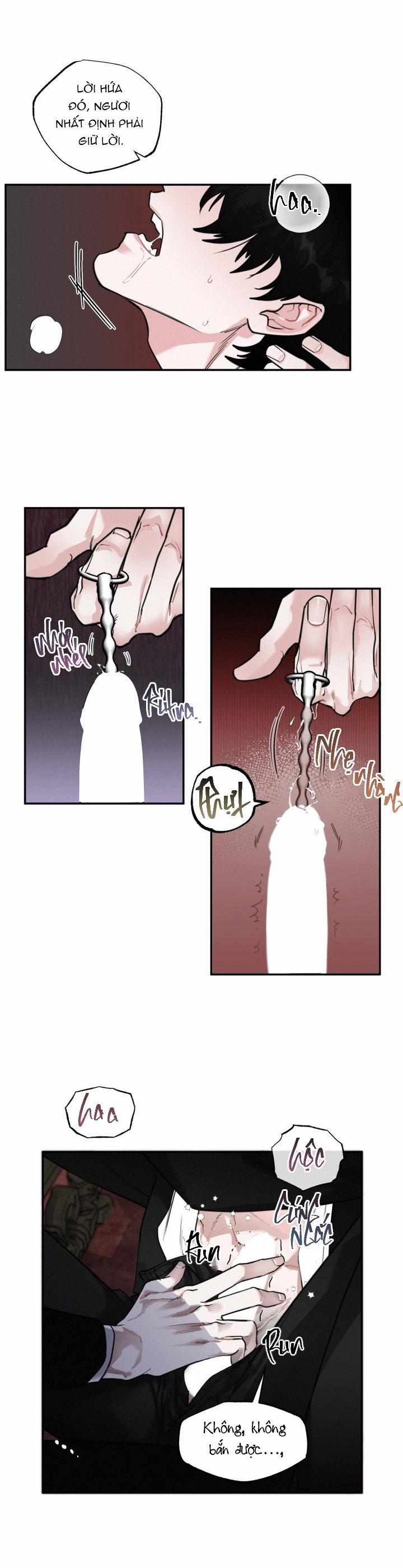 Lời Nói Dối Đẫm Máu 9 trang 11