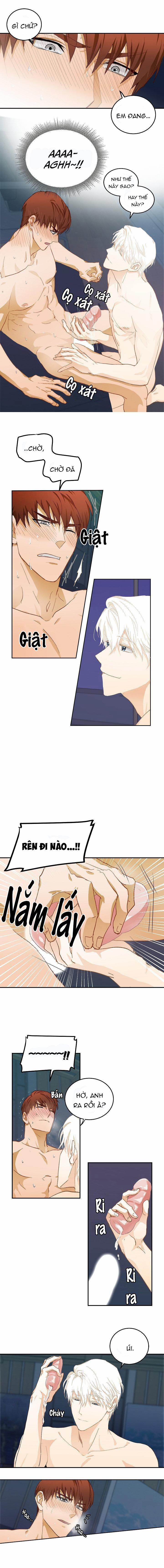 Lời Nói Dối Hoàn Hảo 8 trang 11