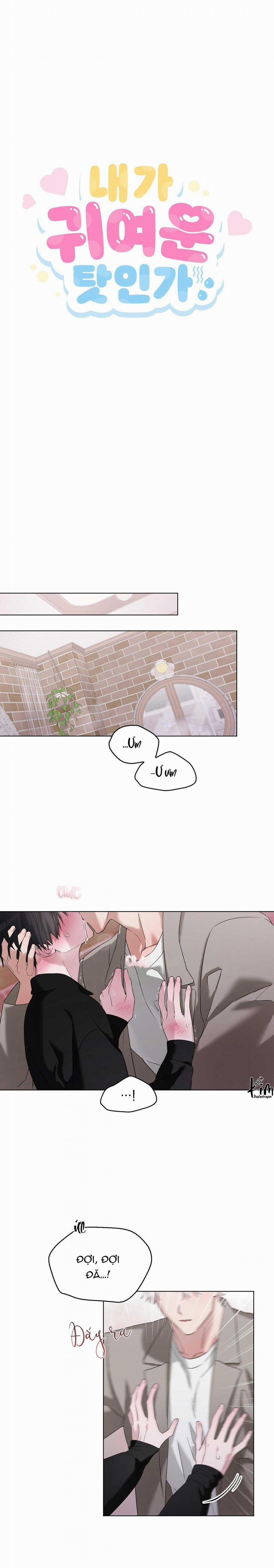 Lỗi Tại Dễ Thương 15 trang 0