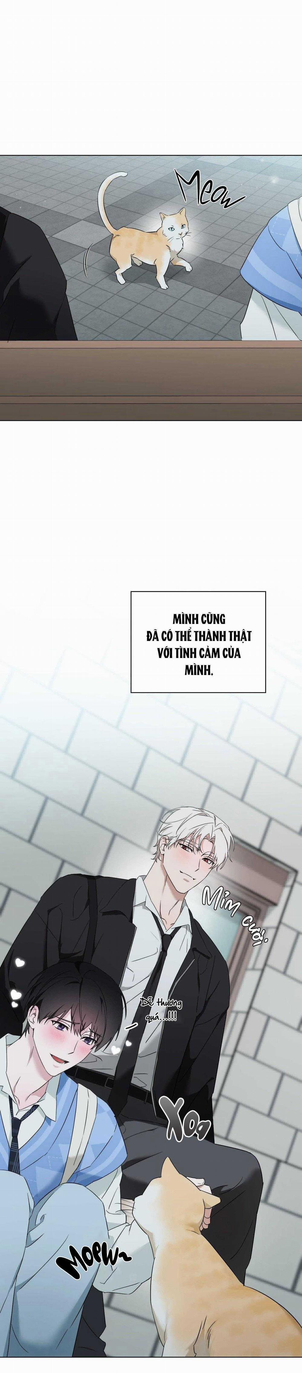 Lỗi Tại Dễ Thương 45 trang 21