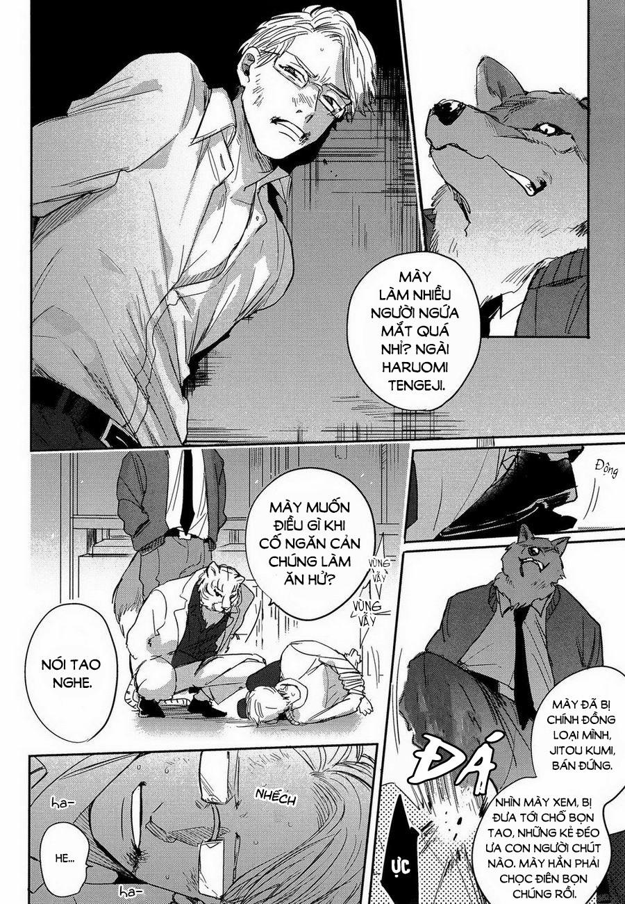 Lời Thề Trung Thành 2 trang 1