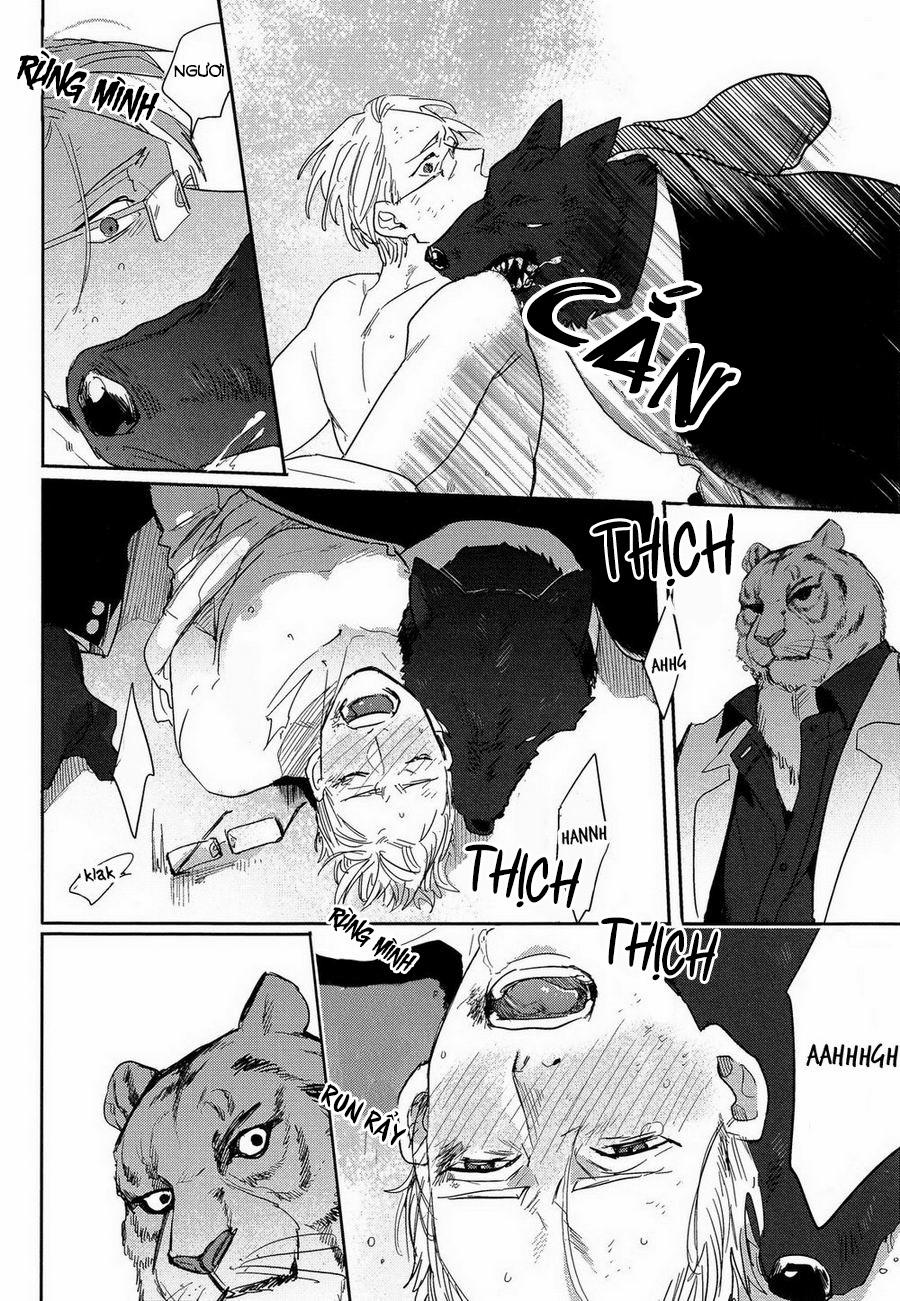 Lời Thề Trung Thành 2 trang 13