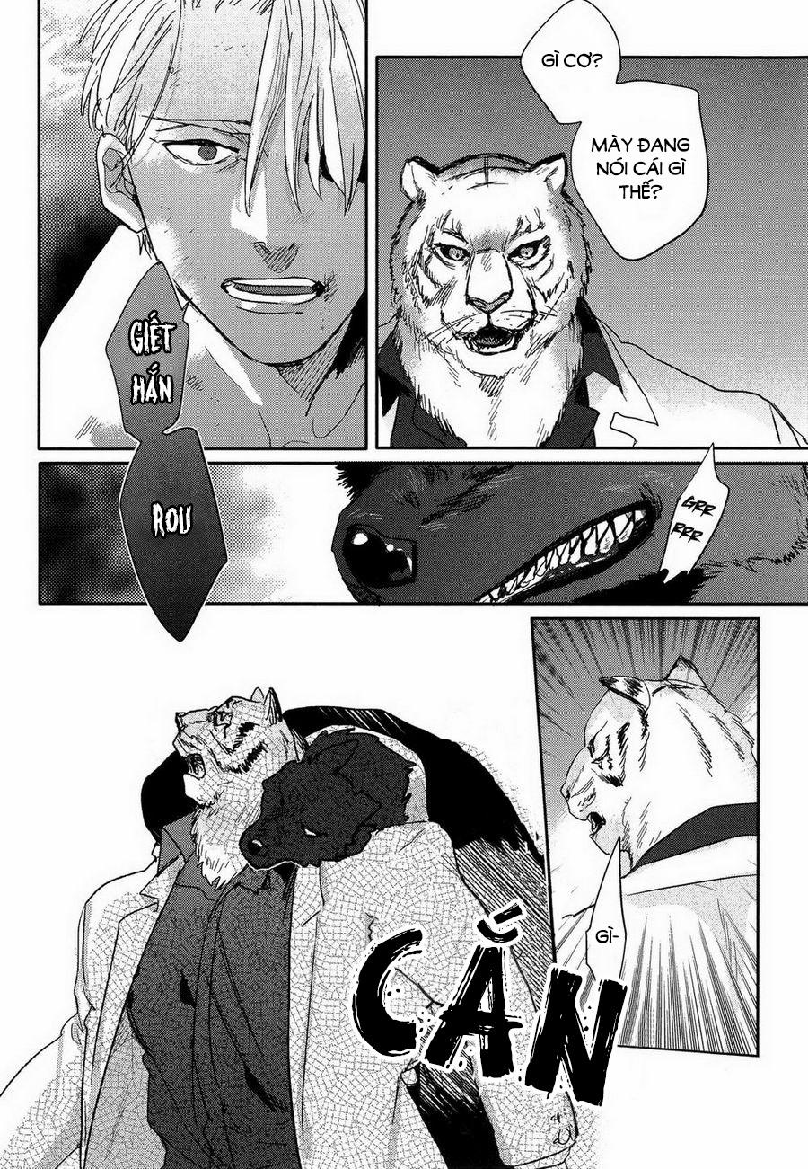 Lời Thề Trung Thành 2 trang 15