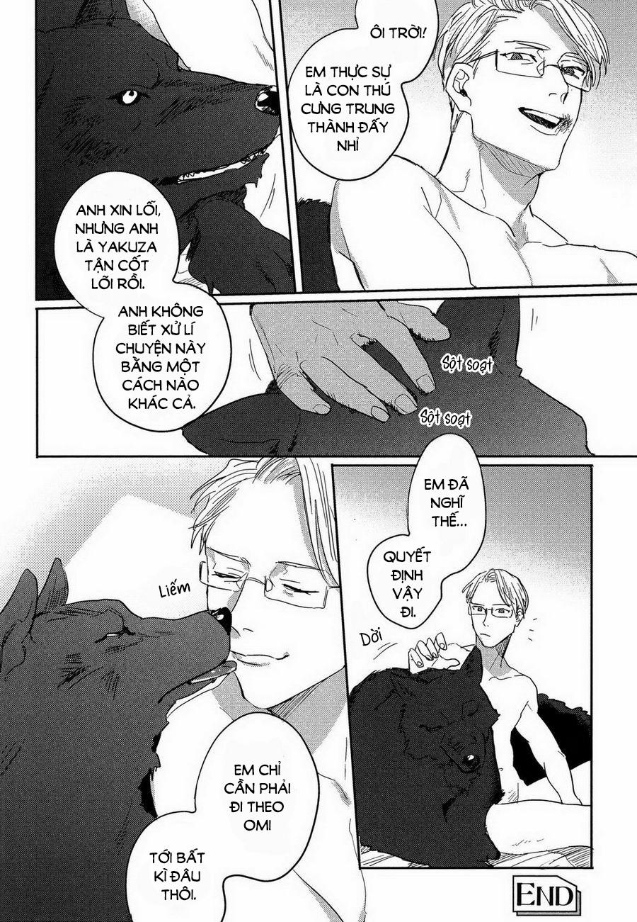 Lời Thề Trung Thành 2 trang 31