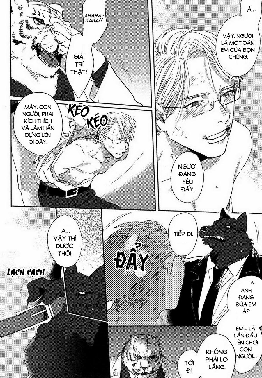 Lời Thề Trung Thành 2 trang 9