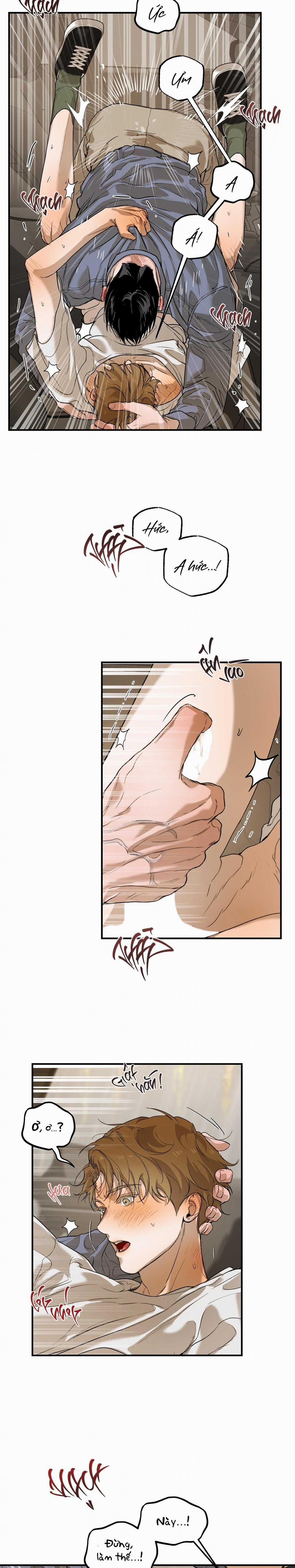 Lời Tỏ Tình Chân Thành Nhất 11 trang 22