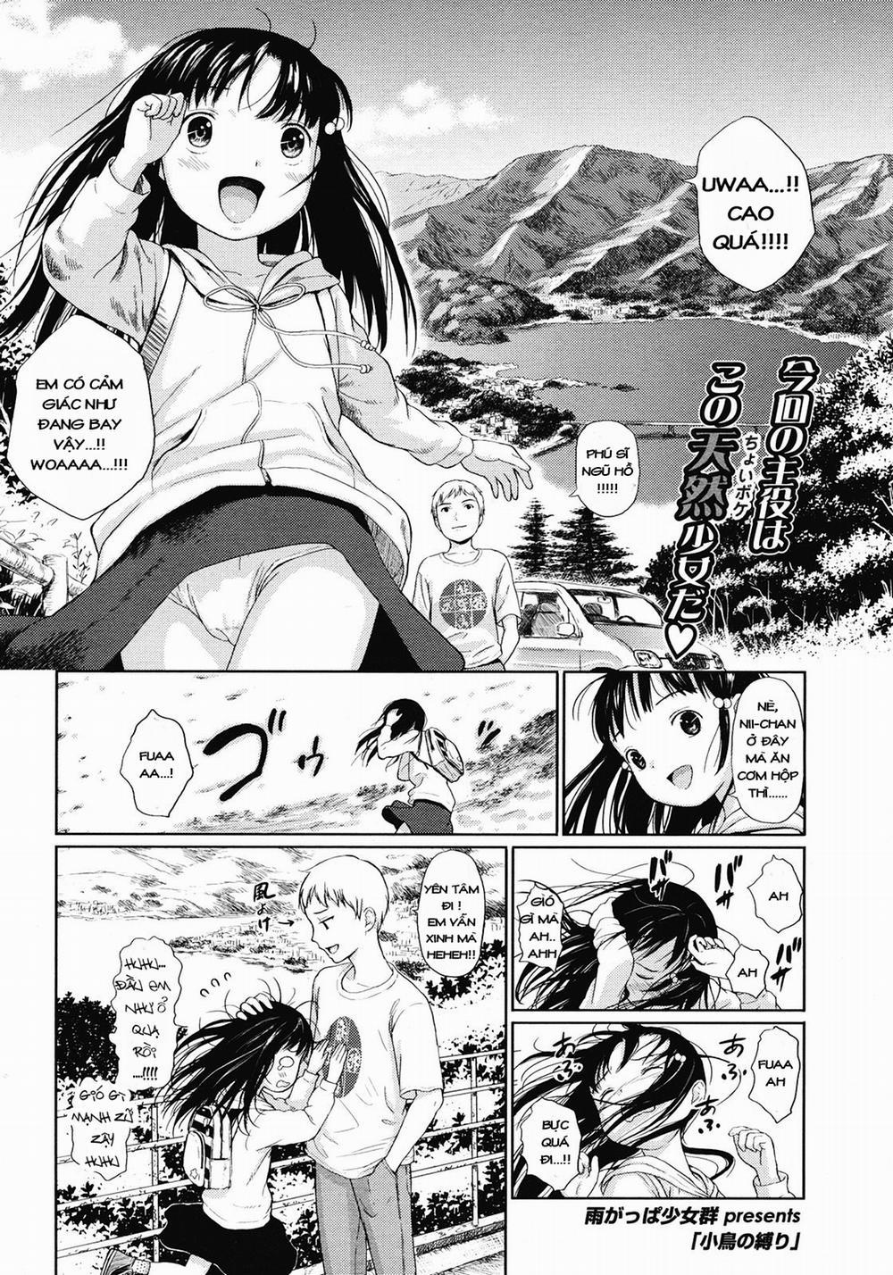 [Loli] Kotori No Shibari Oneshot trang 0