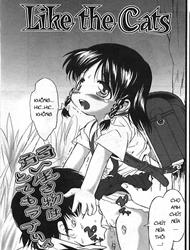 Đọc truyện tranh [Loli] Like the cats
