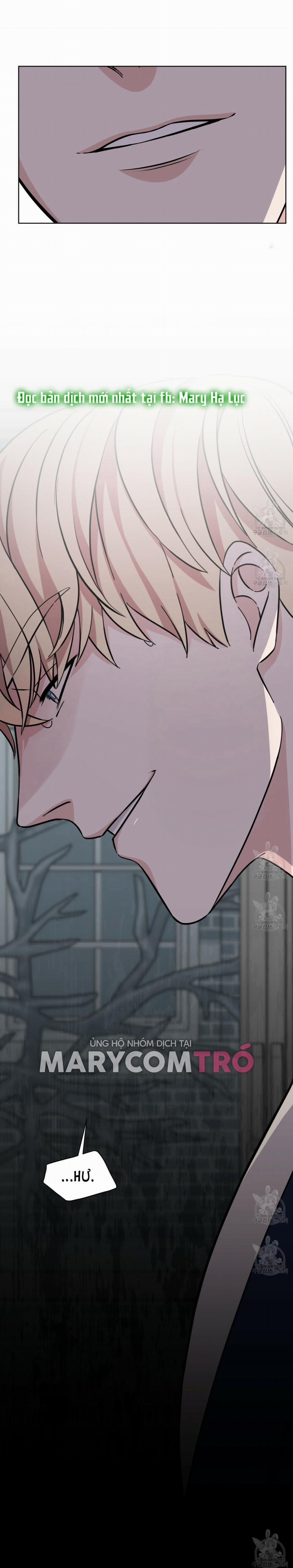 London Về Đêm – Night Of London 11.2 trang 2