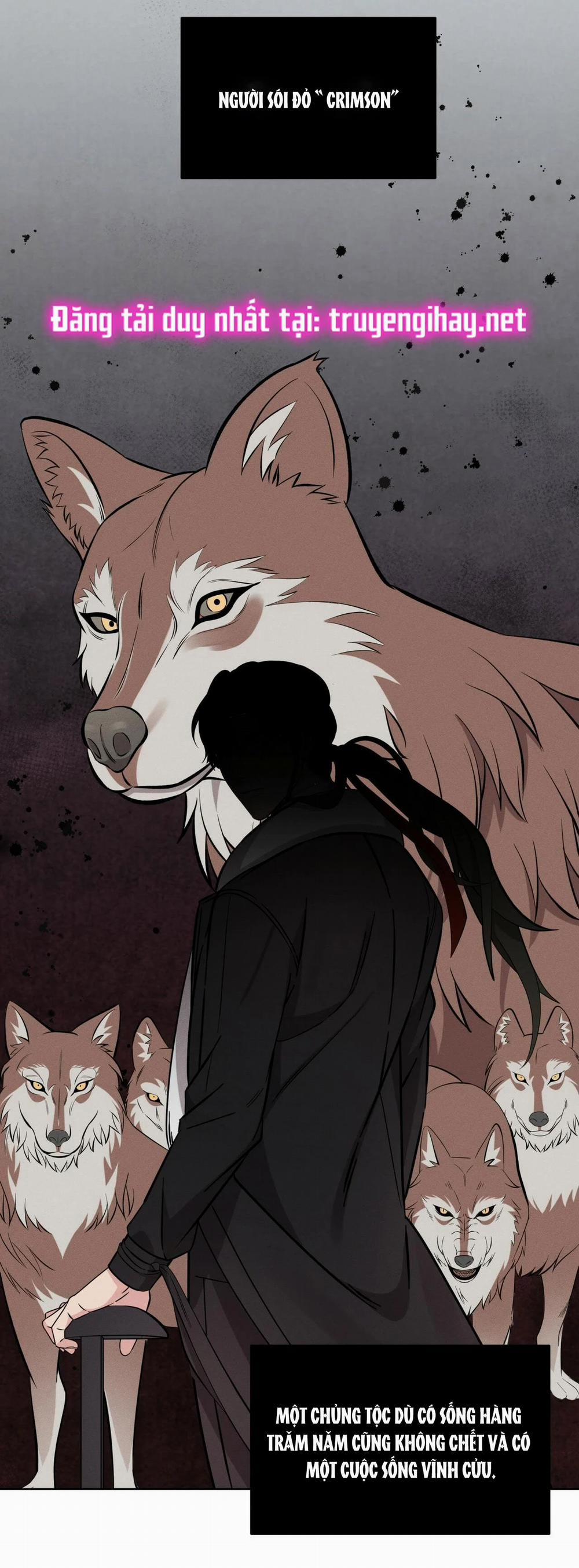 London Về Đêm – Night Of London 3.1 trang 18