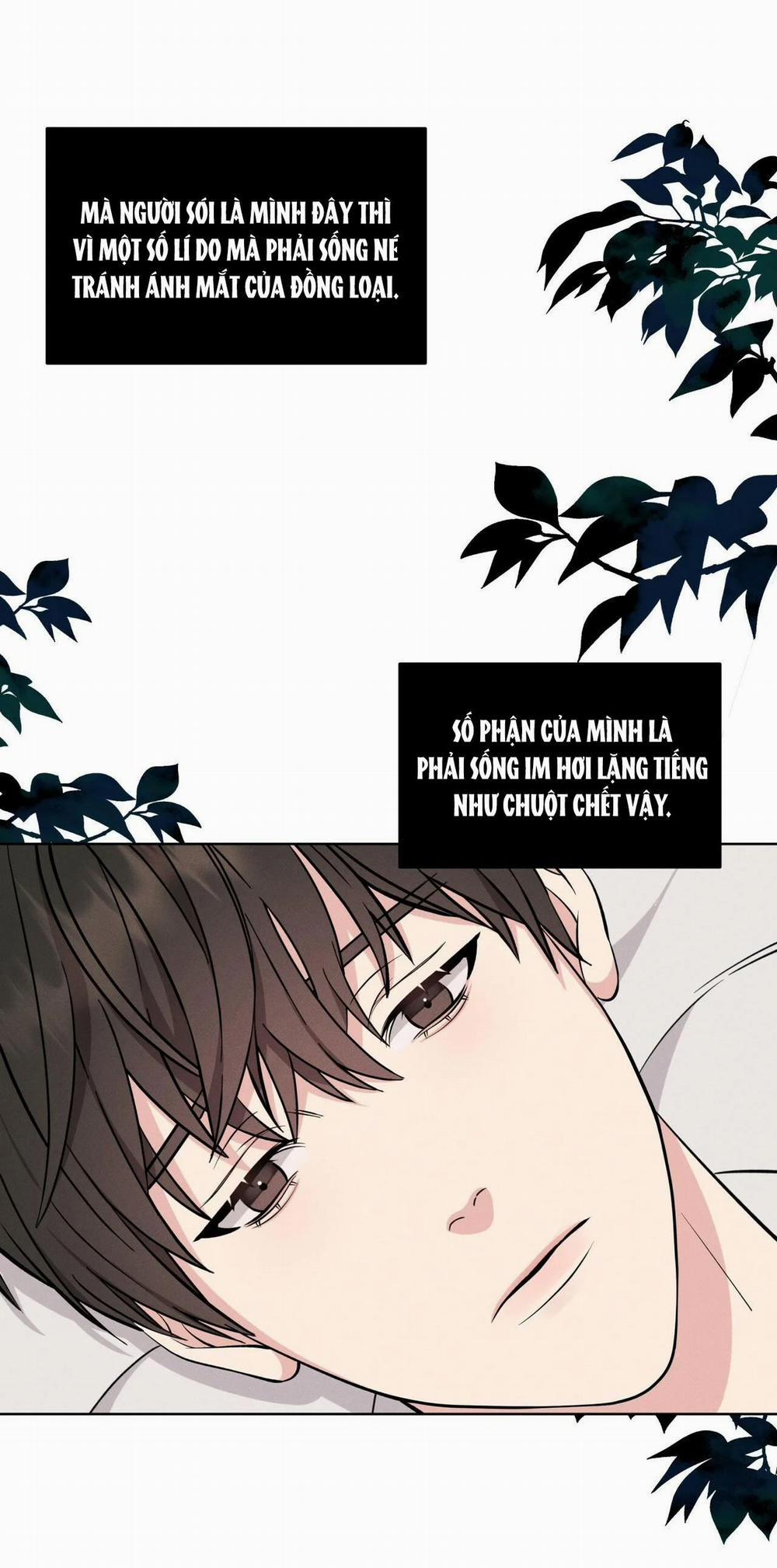 London Về Đêm – Night Of London 3.1 trang 19