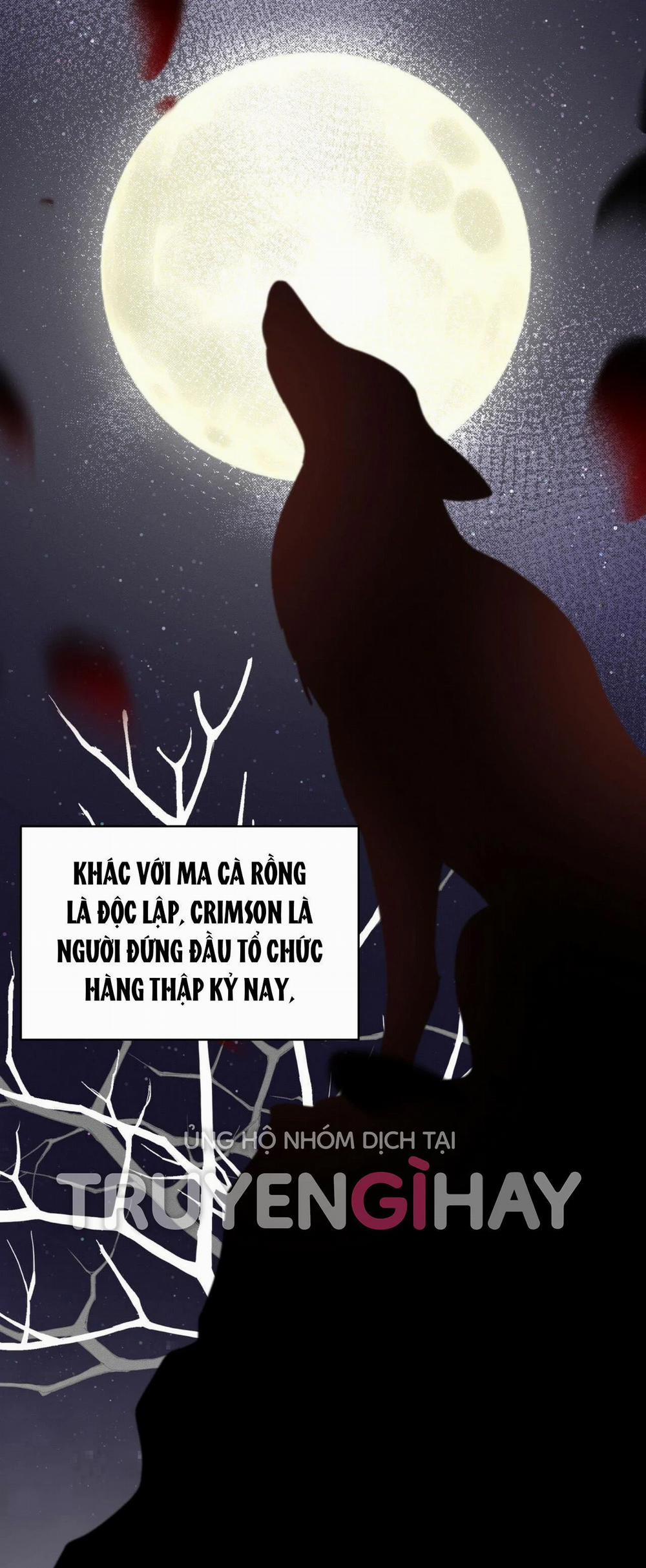 London Về Đêm – Night Of London 6.2 trang 15