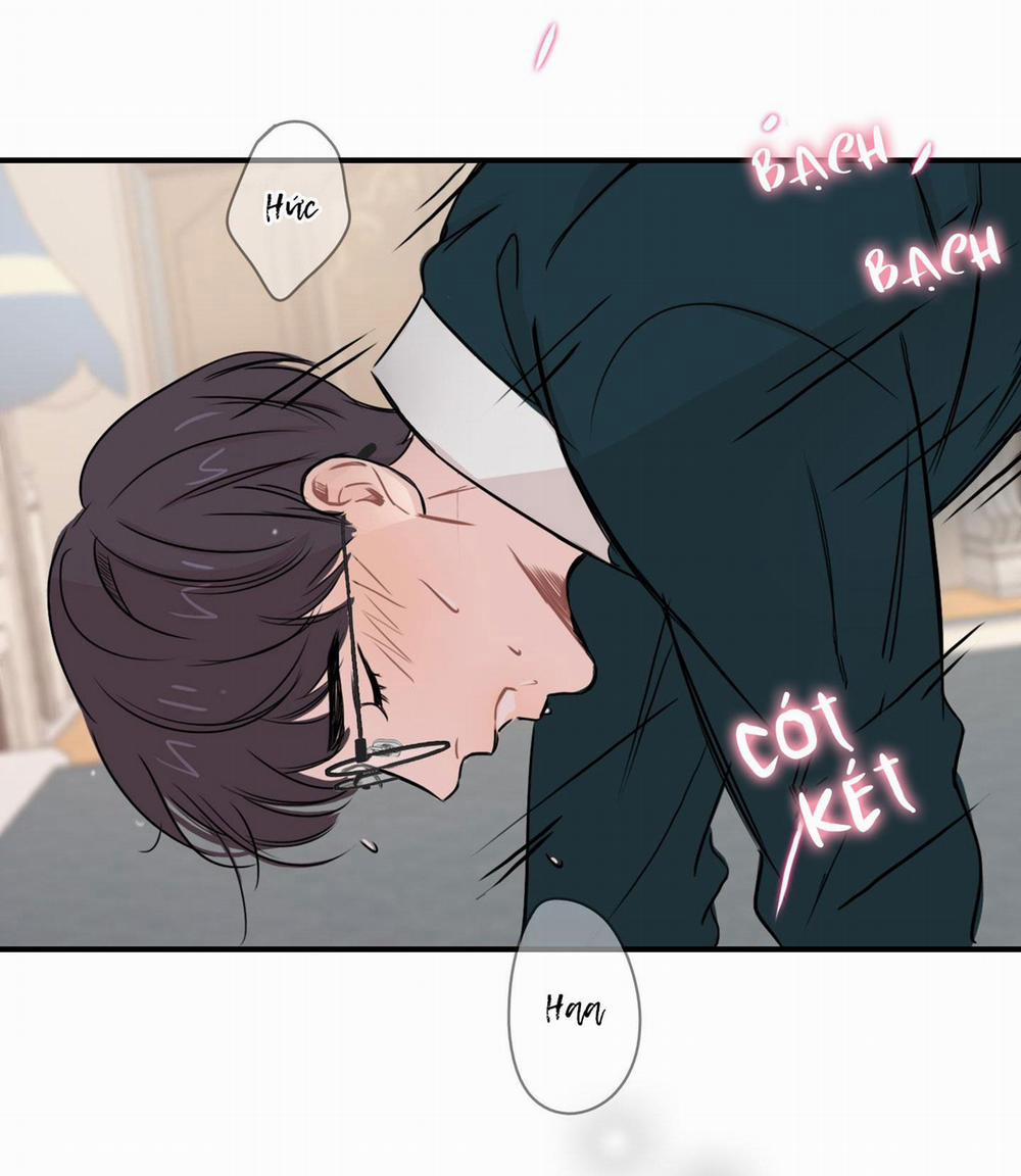 LỒNG CHIM 11 trang 19