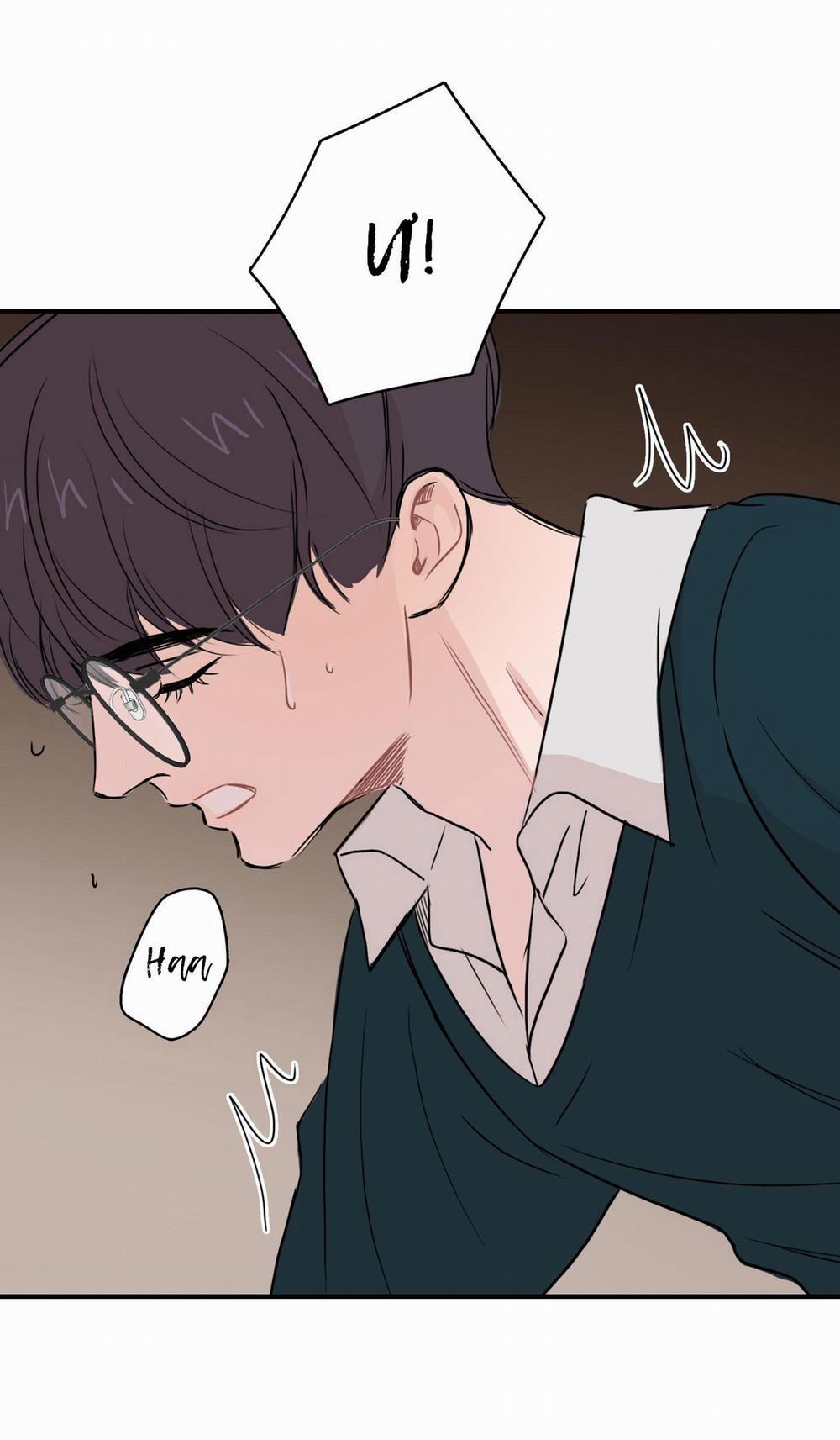 LỒNG CHIM 11 trang 8