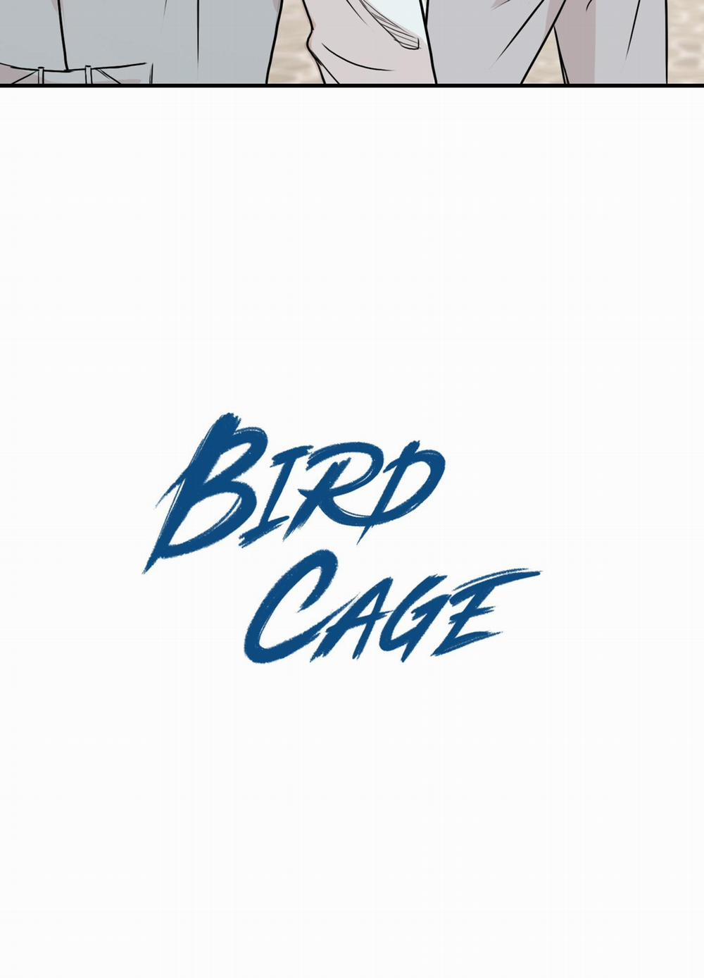 LỒNG CHIM 12 trang 8