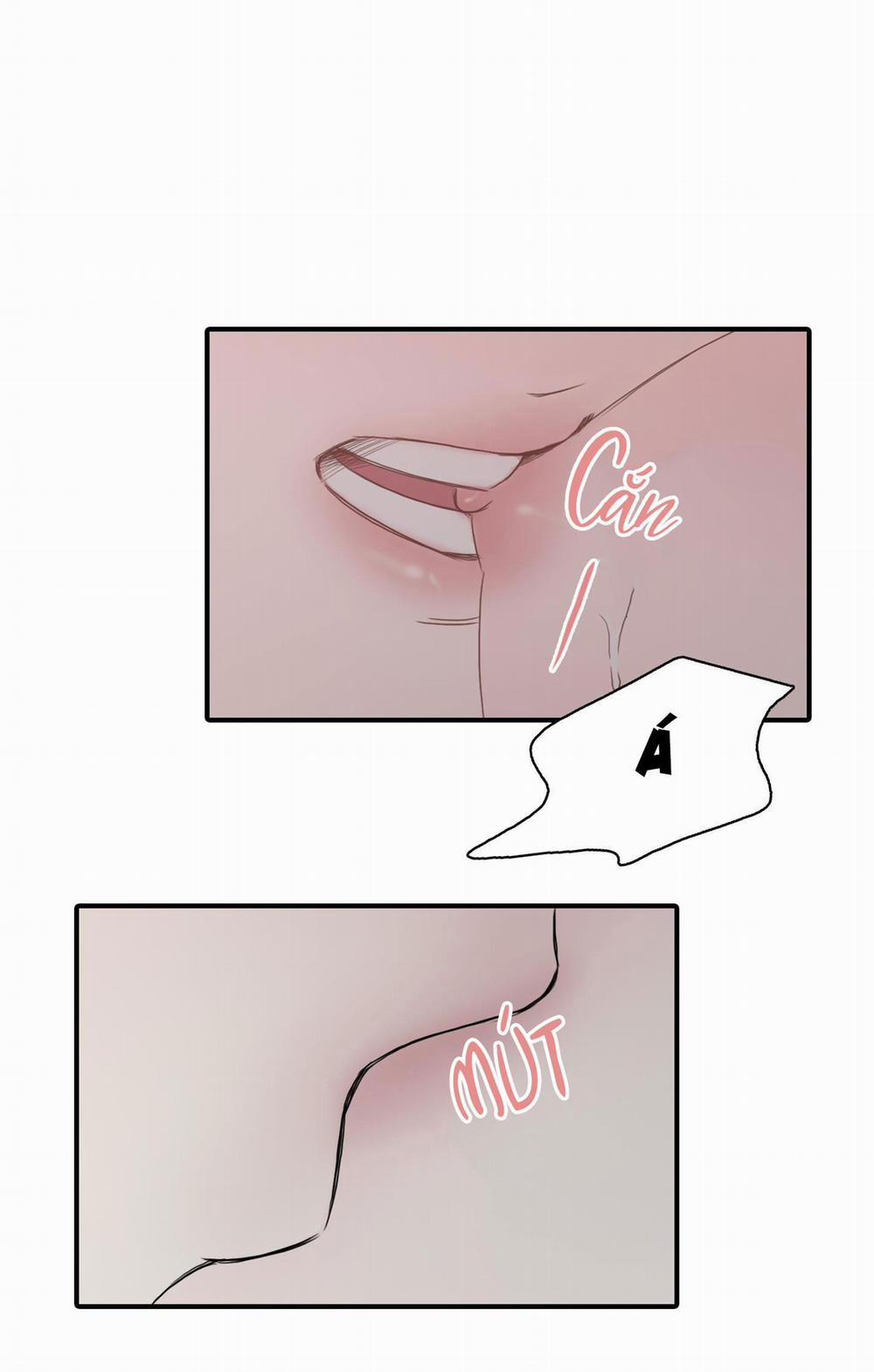 LỒNG CHIM 14 trang 2