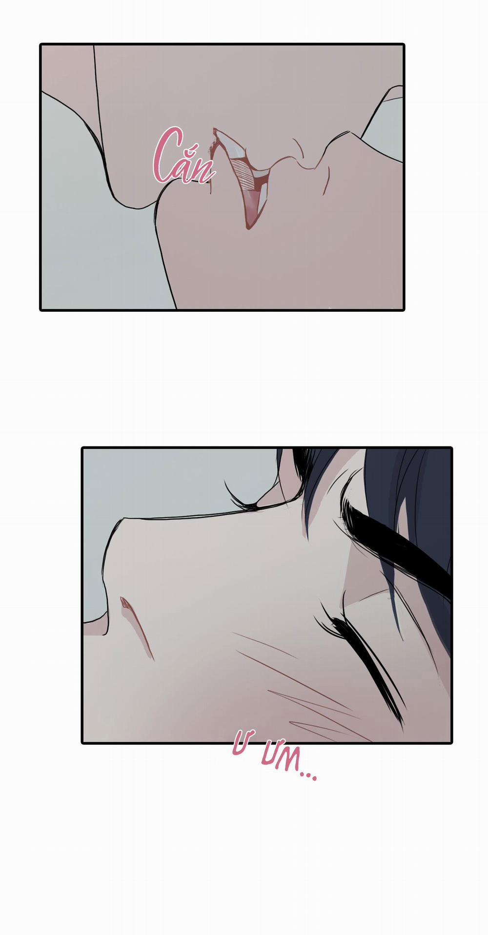 LỒNG CHIM 14 trang 21