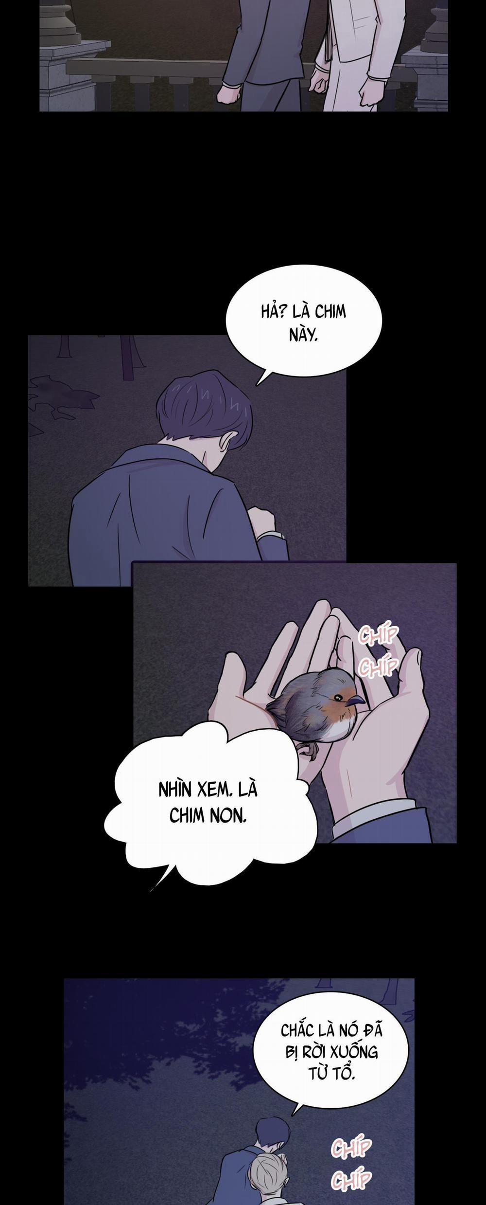 LỒNG CHIM 7 trang 10