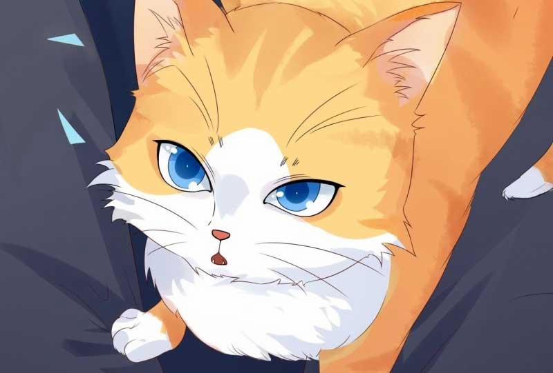 Lồng Giam Vô Tận 5 trang 17