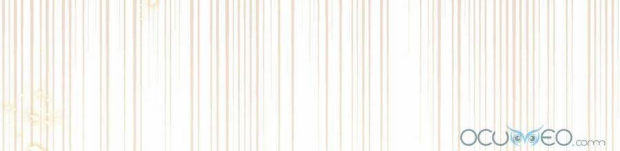 Lòng Trung Thành Với Kẻ Ác 1 trang 31